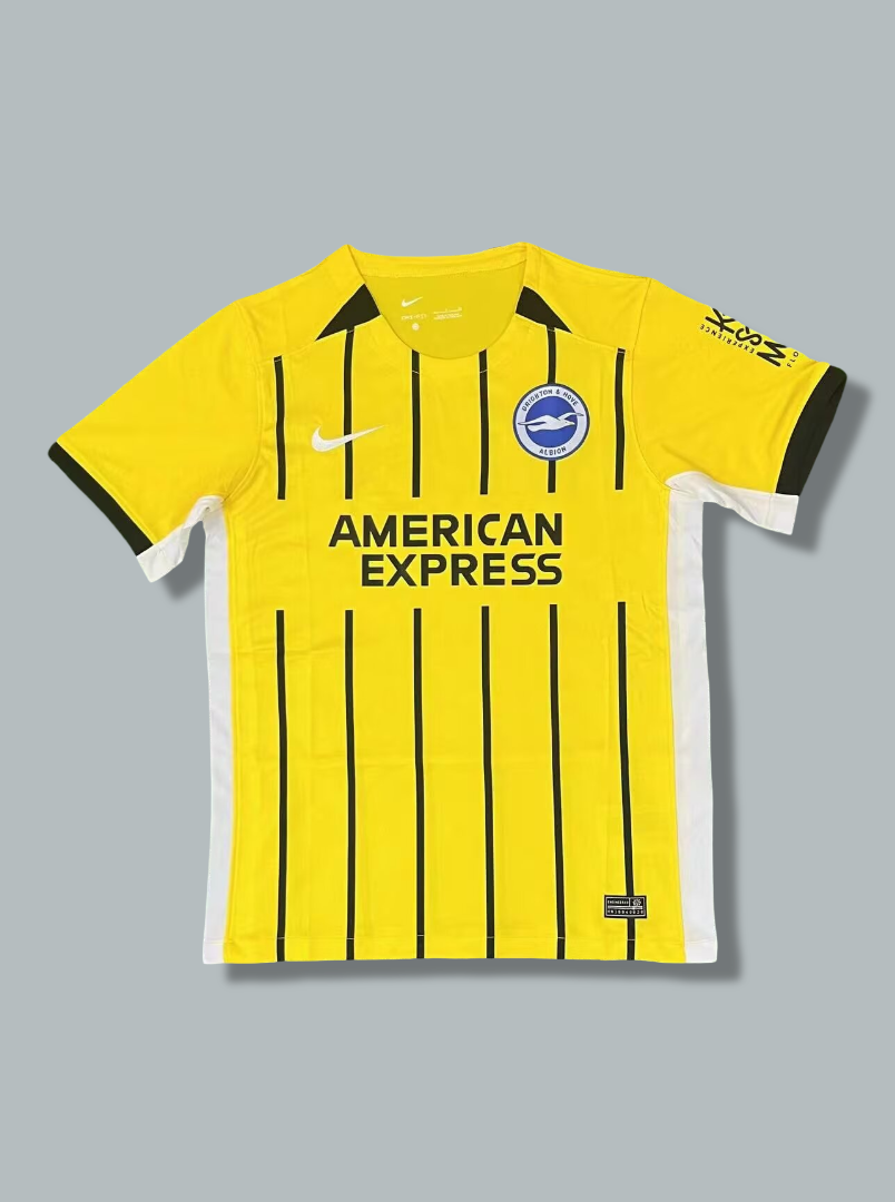 Brighton & Hove Albion 24/25 Away Kit