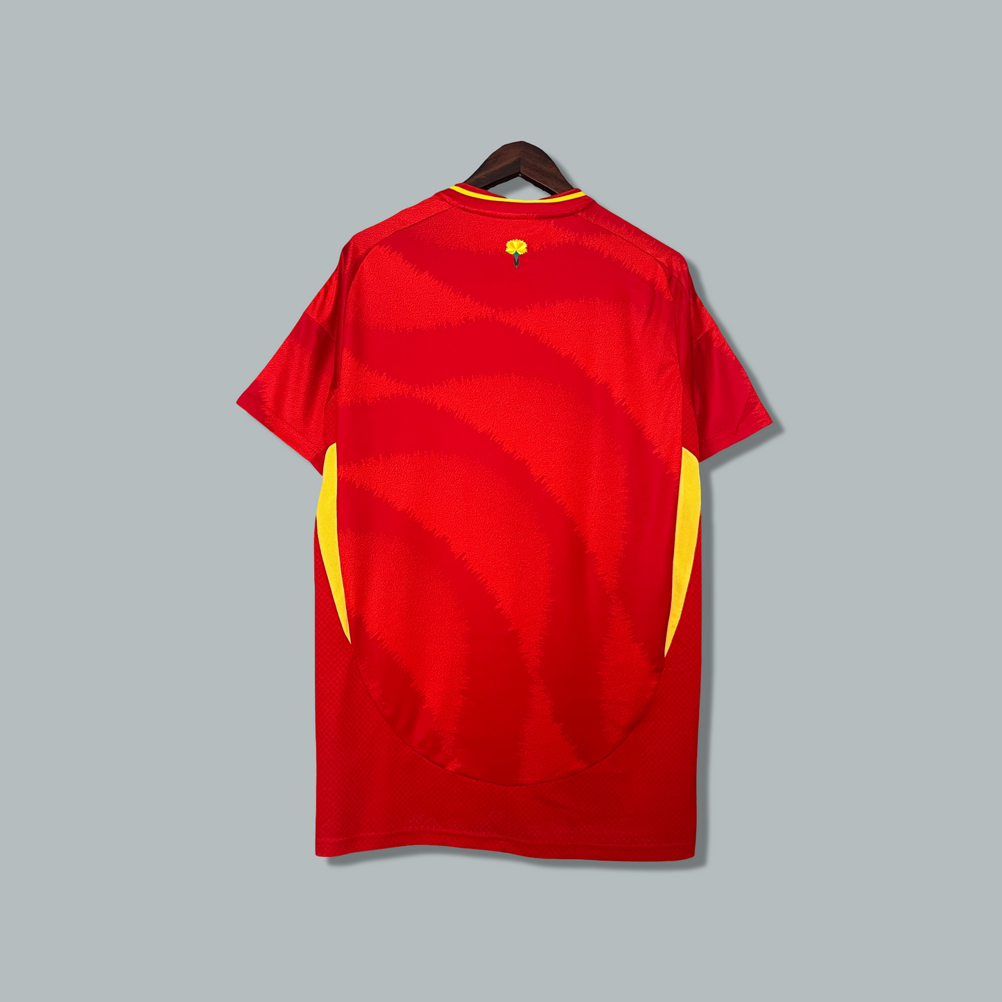 Spain 24/25 Home Kit