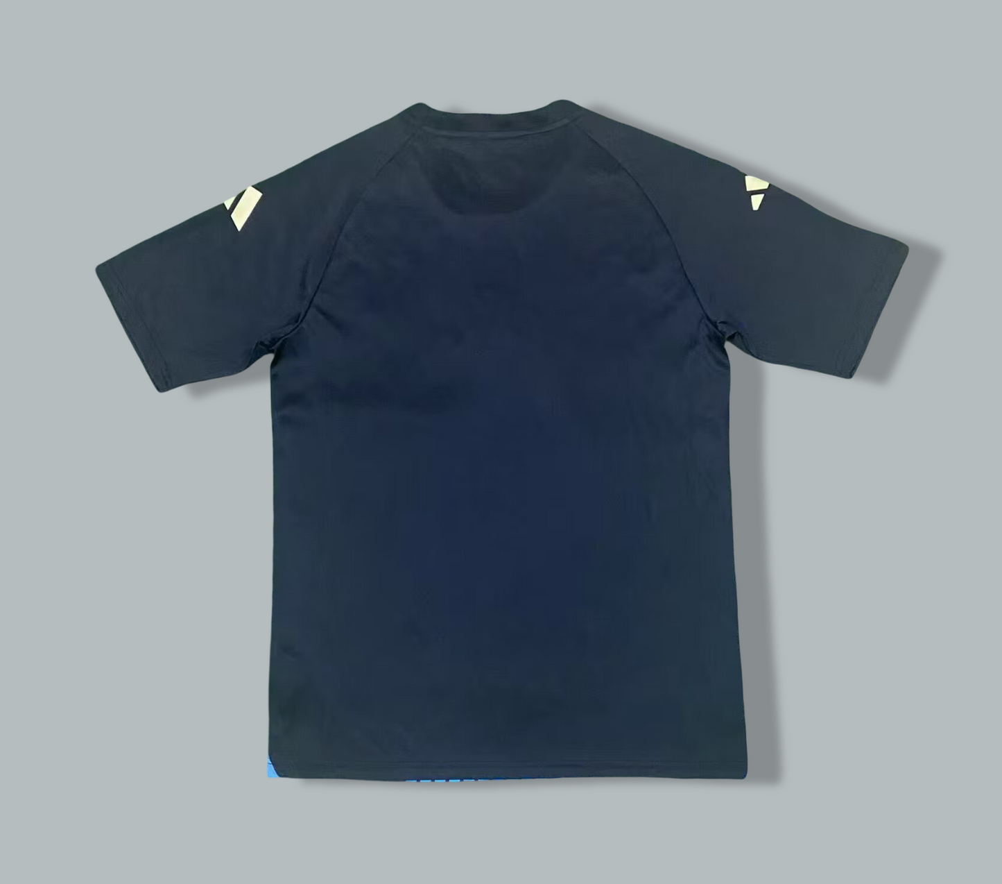 Argentina 24/25 Training Kit