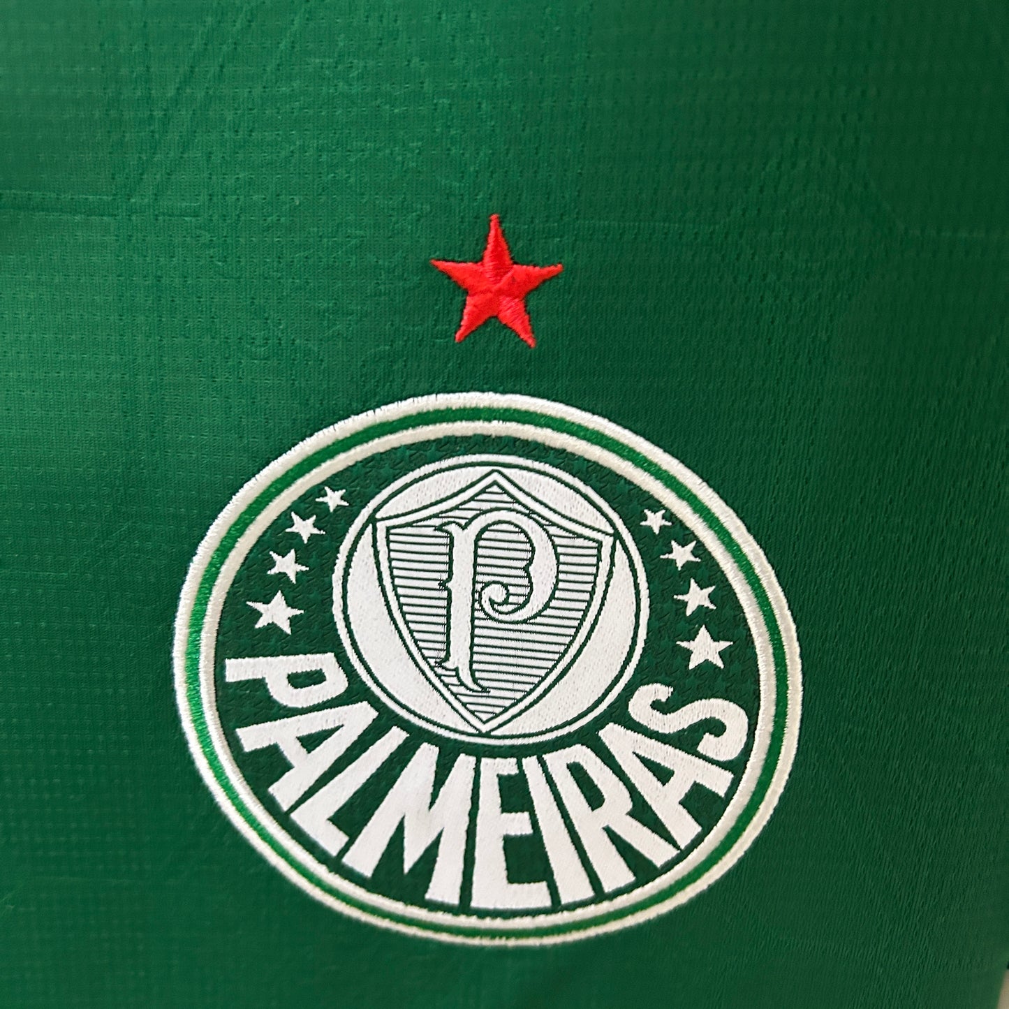 Palmeiras 25/26 Home Kit