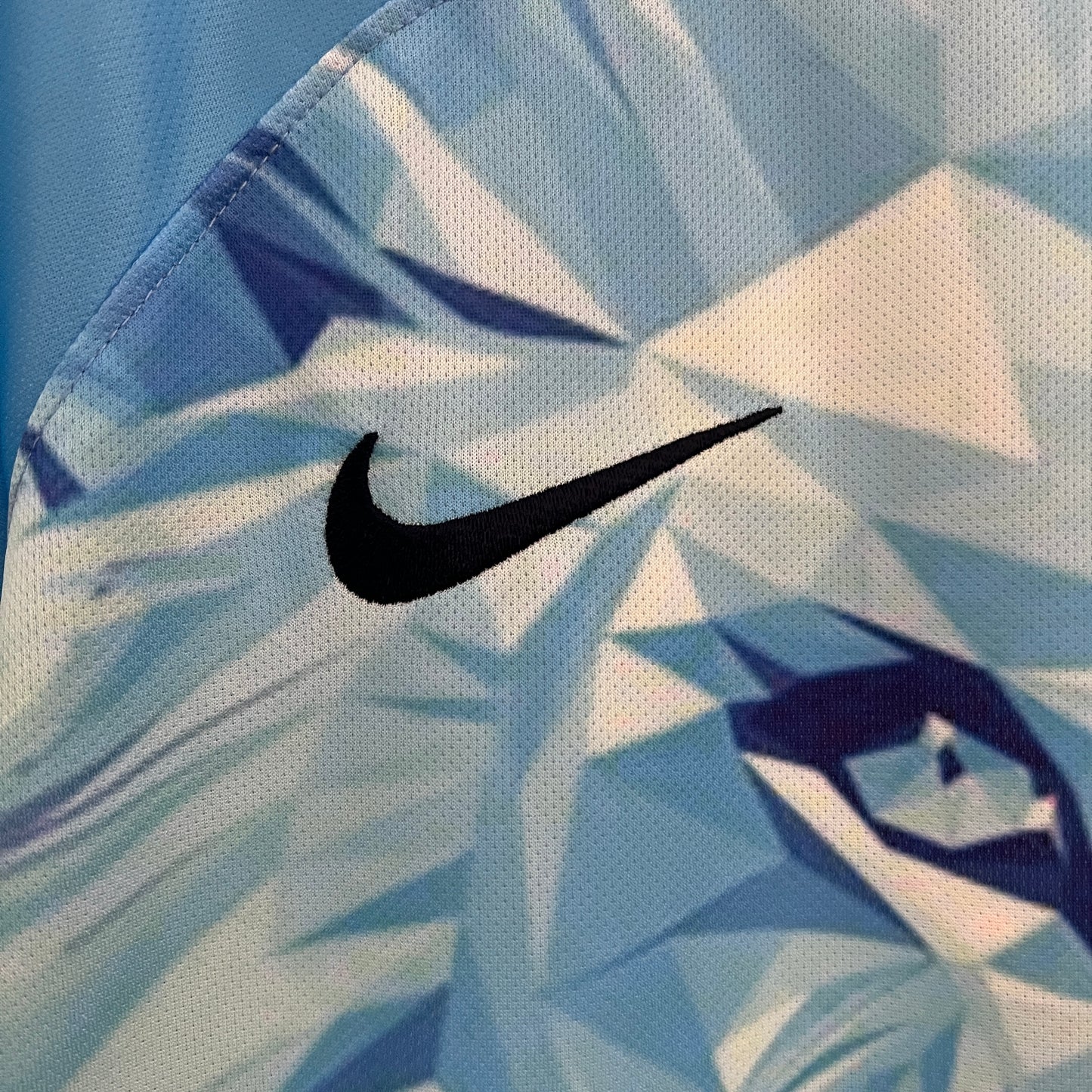 Netherlands 25/26 "Ice Lion" Premium Kit