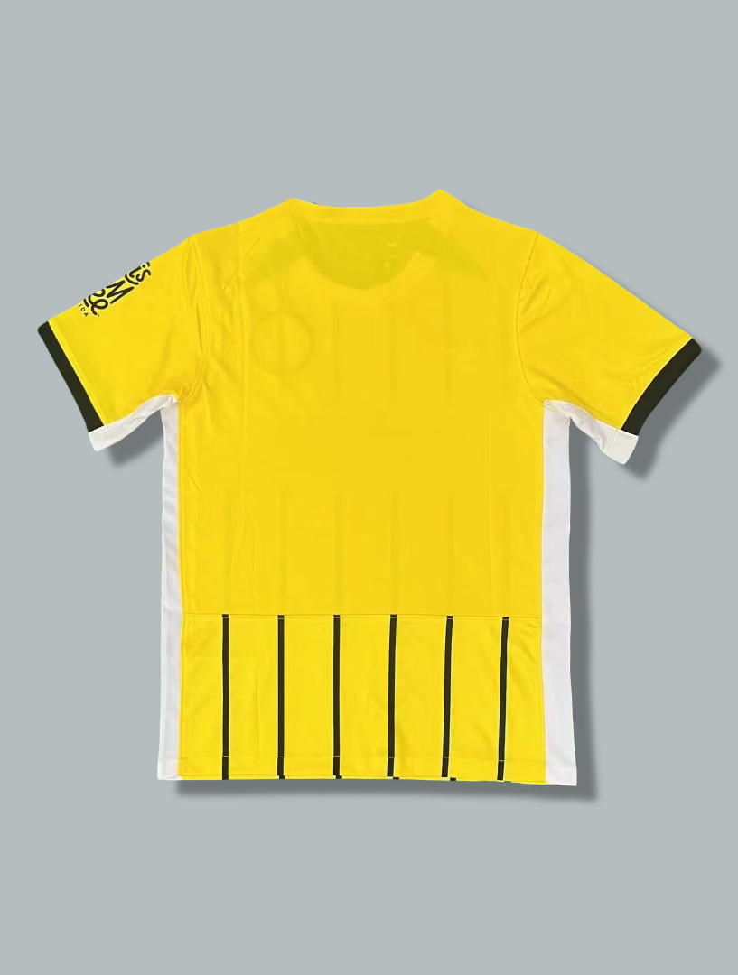 Brighton & Hove Albion 24/25 Away Kit