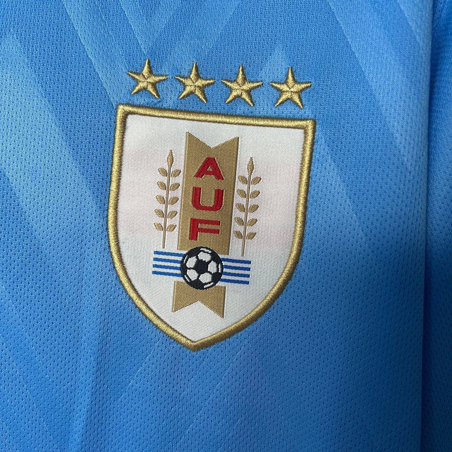 Uruguay 2025 Home Kit