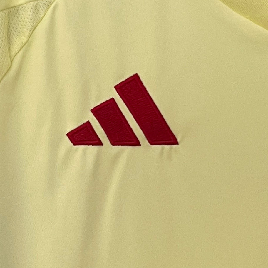 Spain 24/25 Away Kit
