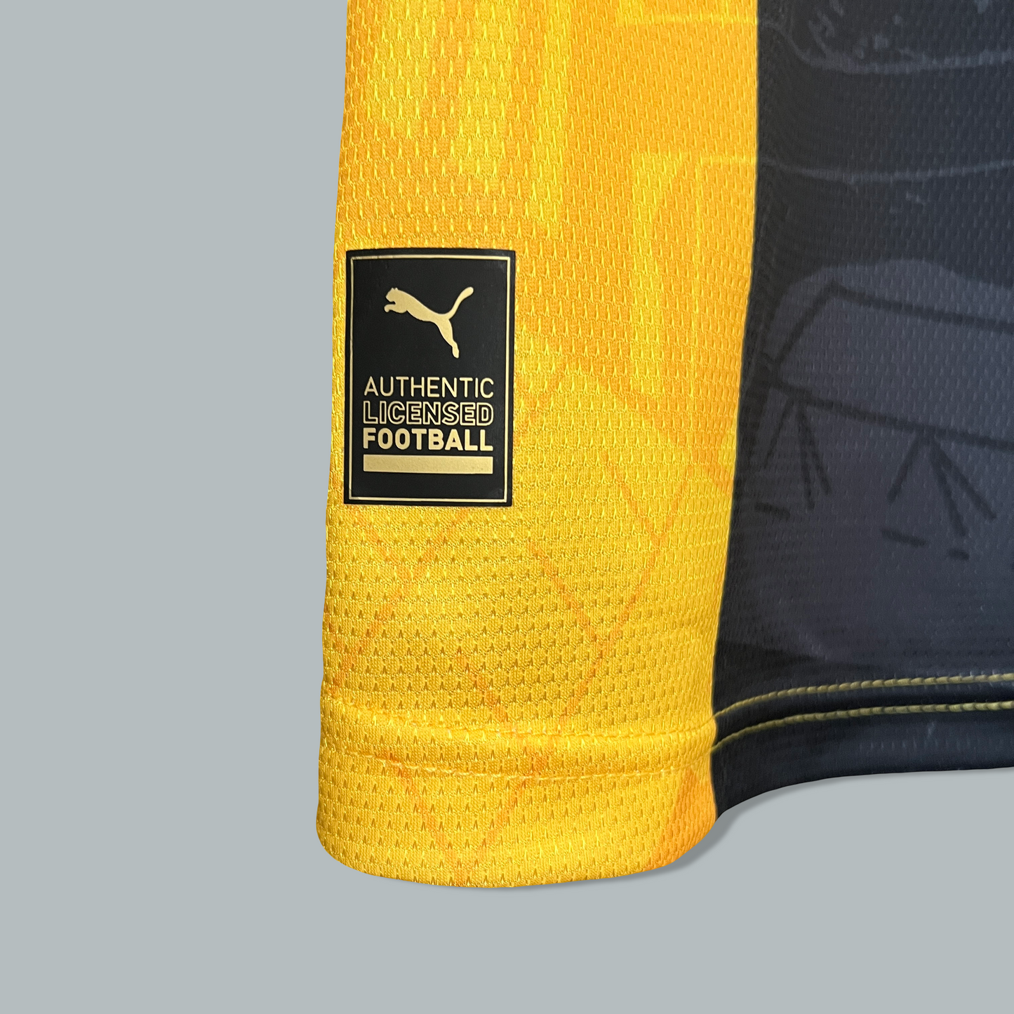 Borussia Dortmund 24/25 Special Edition Kit