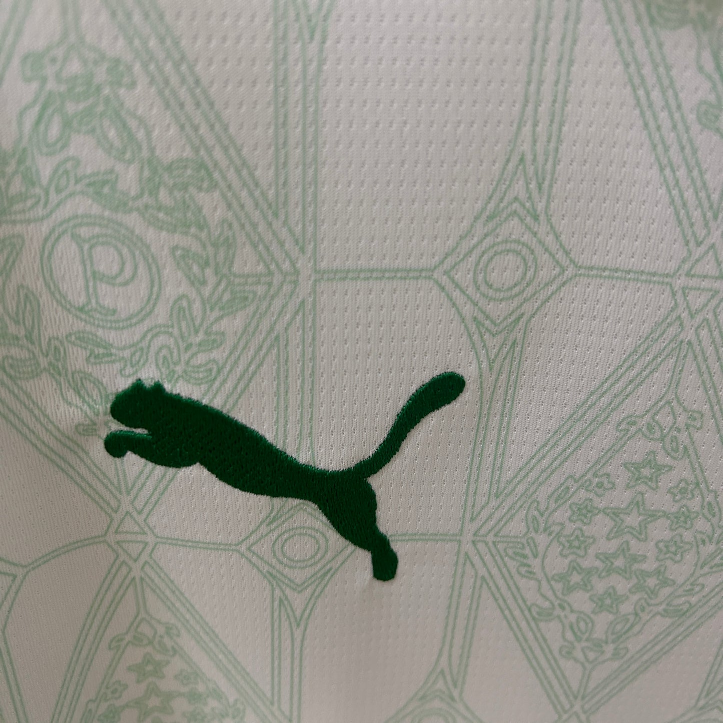 Palmeiras 25/26 Away Kit