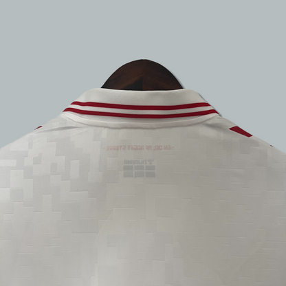 Denmark 24/25 Away Kit
