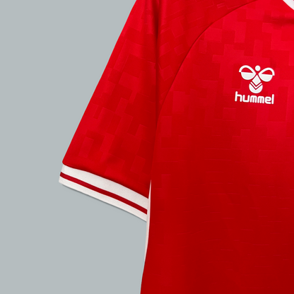 Denmark 24/25 Home Kit