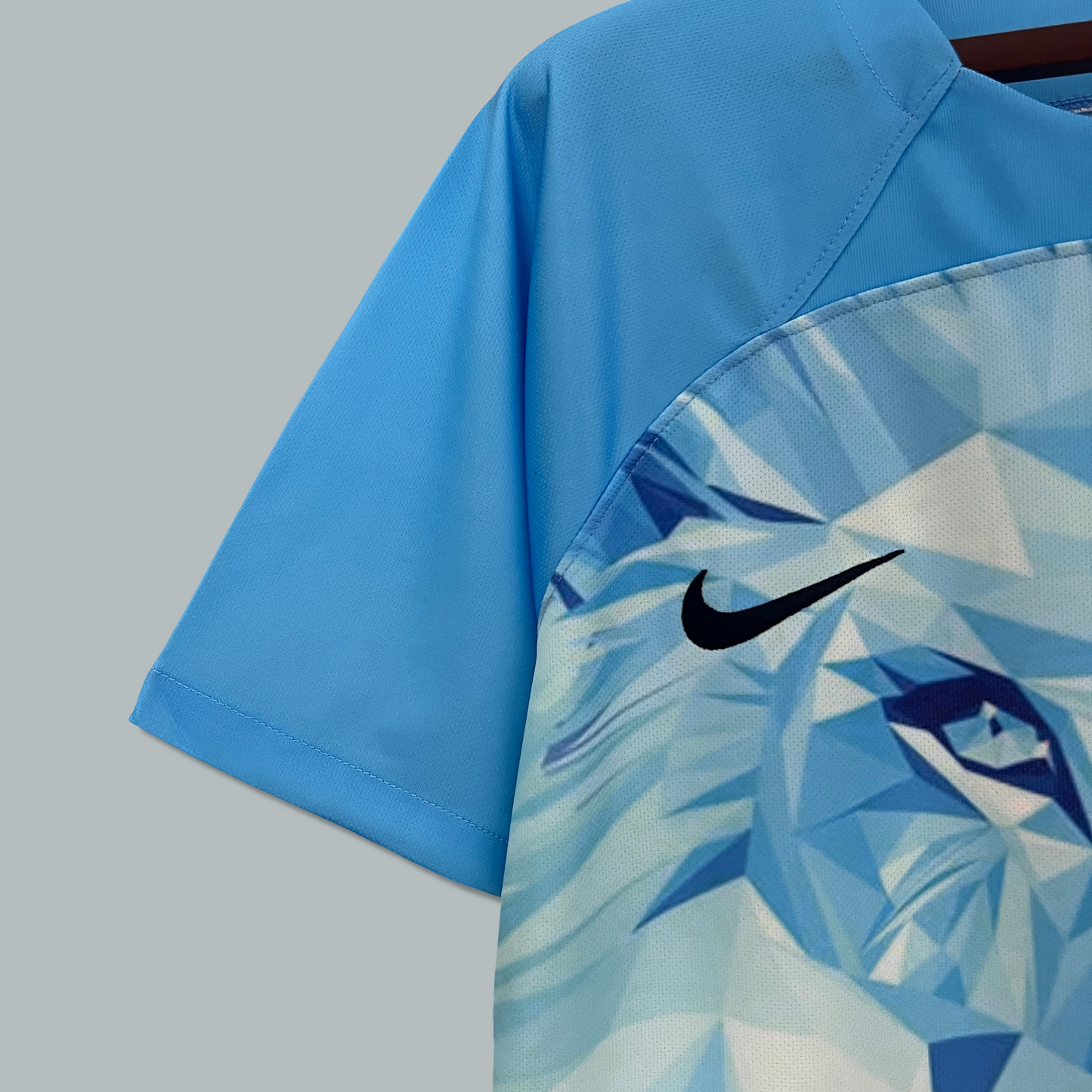 Netherlands 25/26 "Ice Lion" Premium Kit