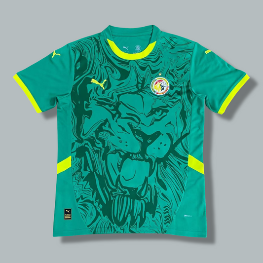 Senegal 24/25 Away Kit