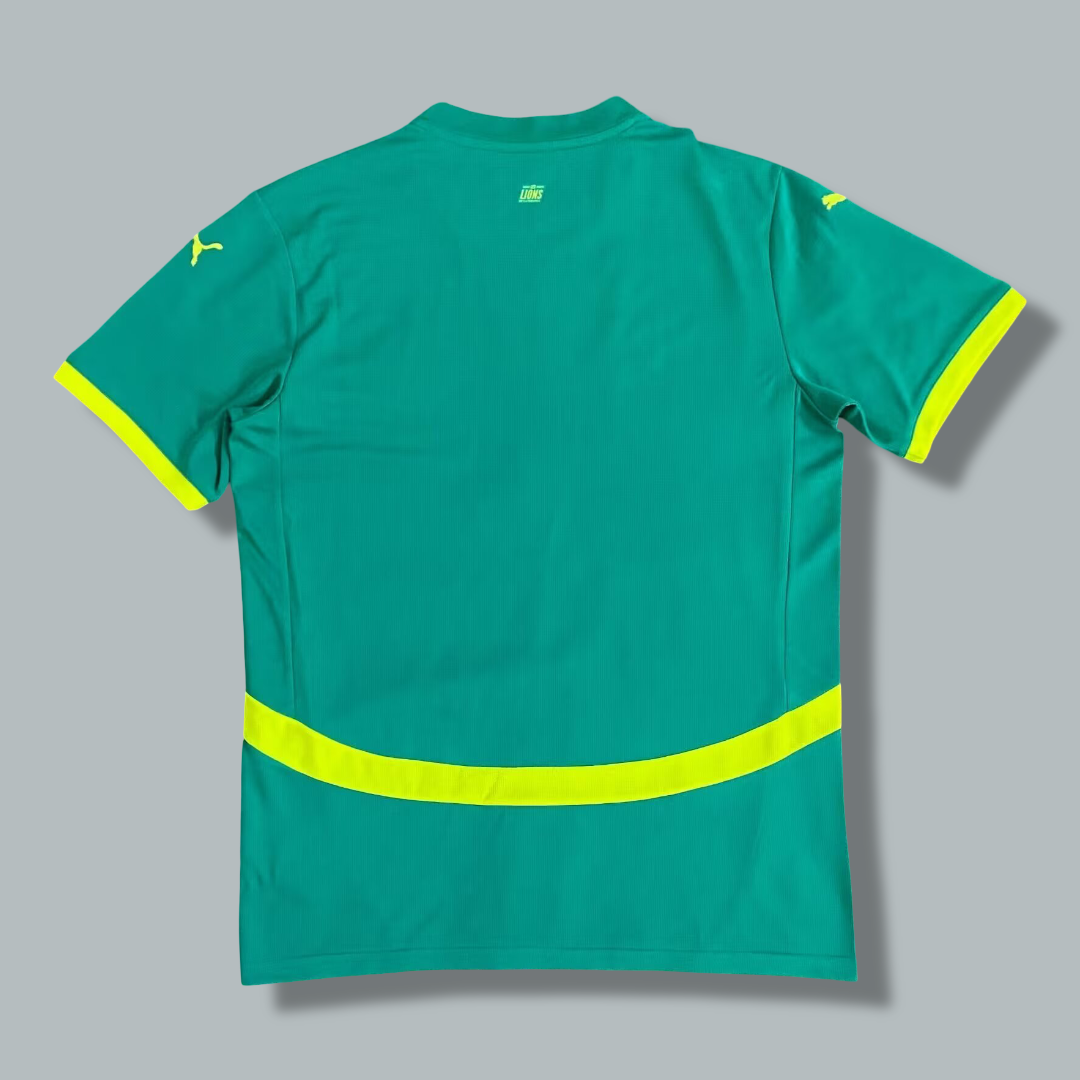 Senegal 24/25 Away Kit