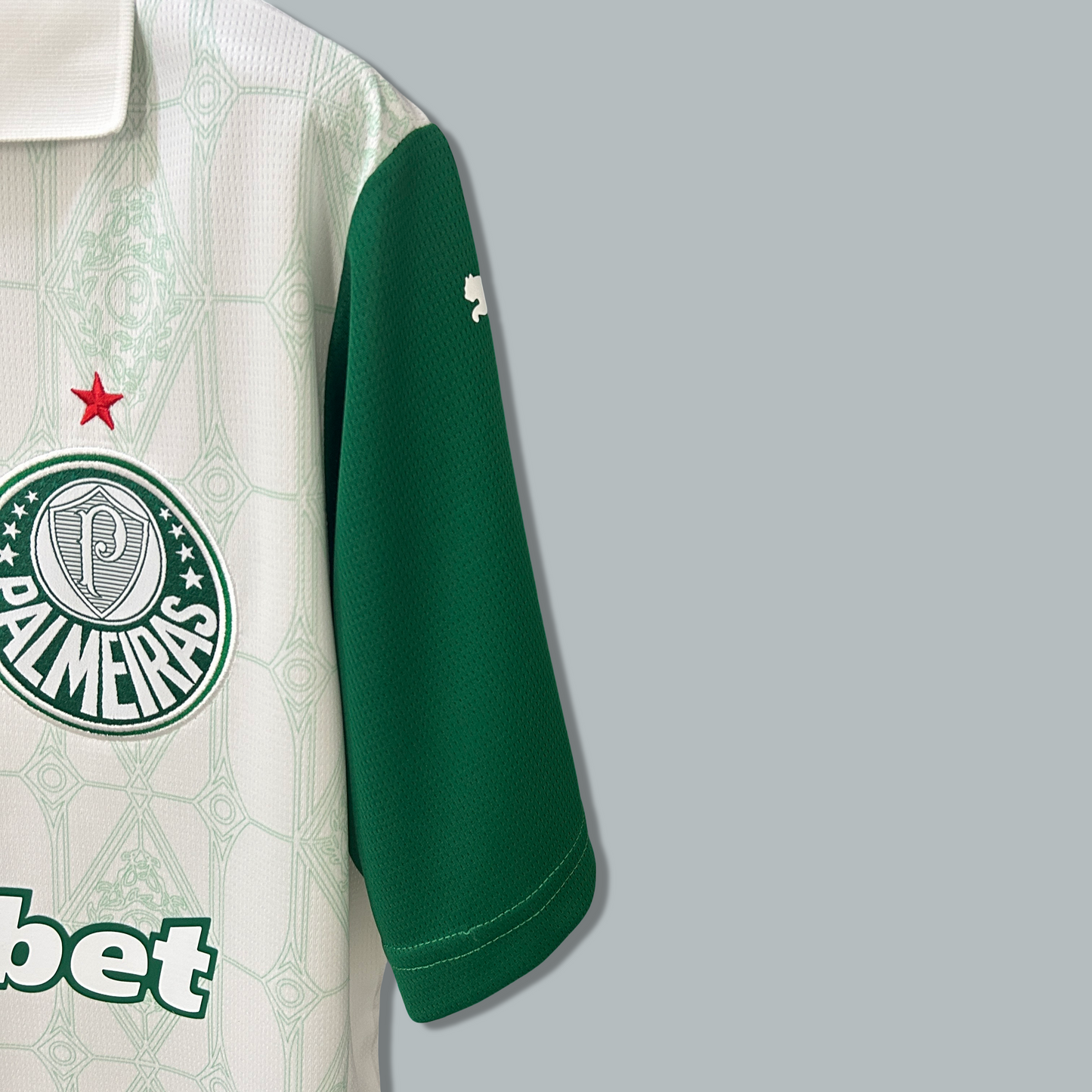 Palmeiras 25/26 Away Kit