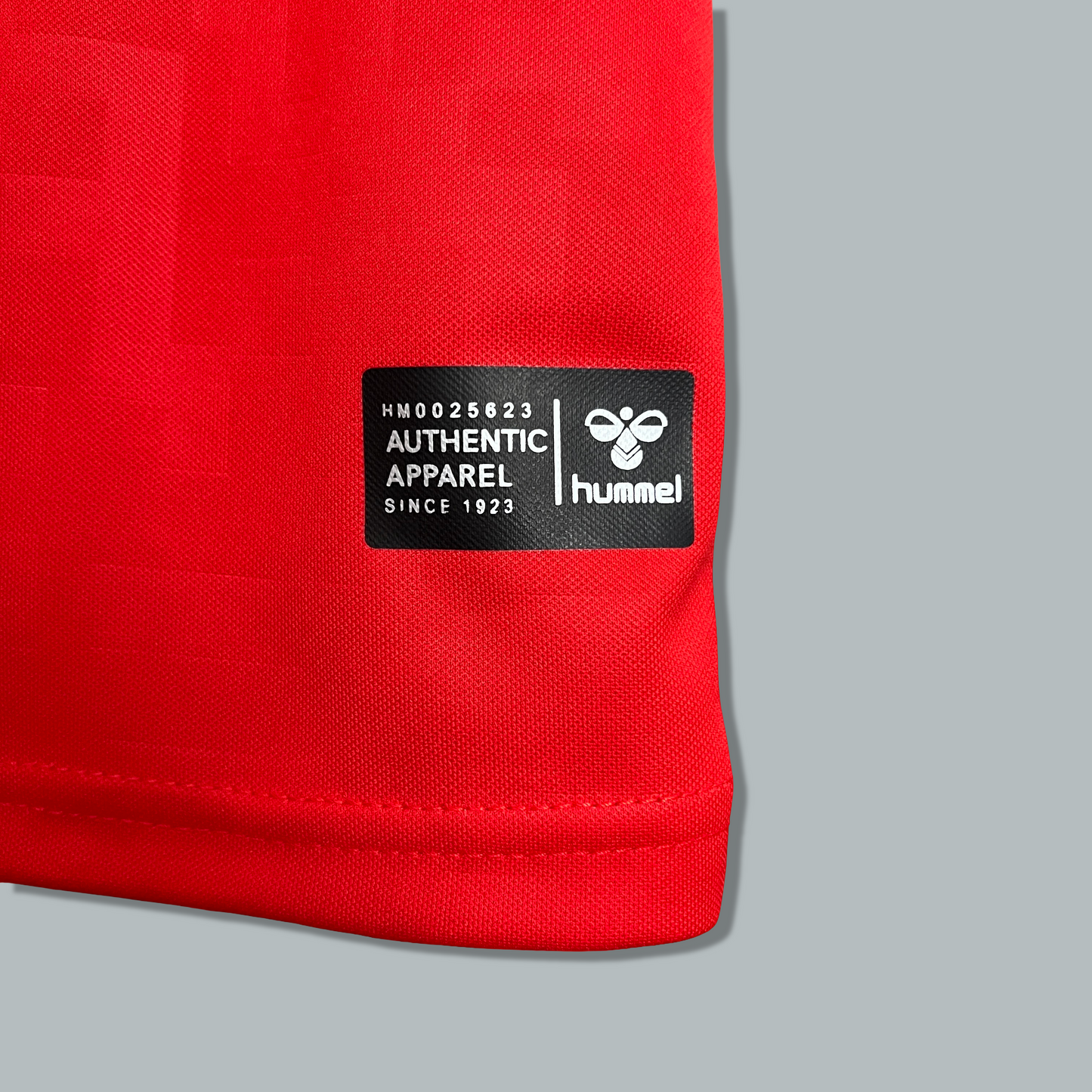 Denmark 24/25 Home Kit