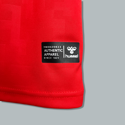 Denmark 24/25 Home Kit