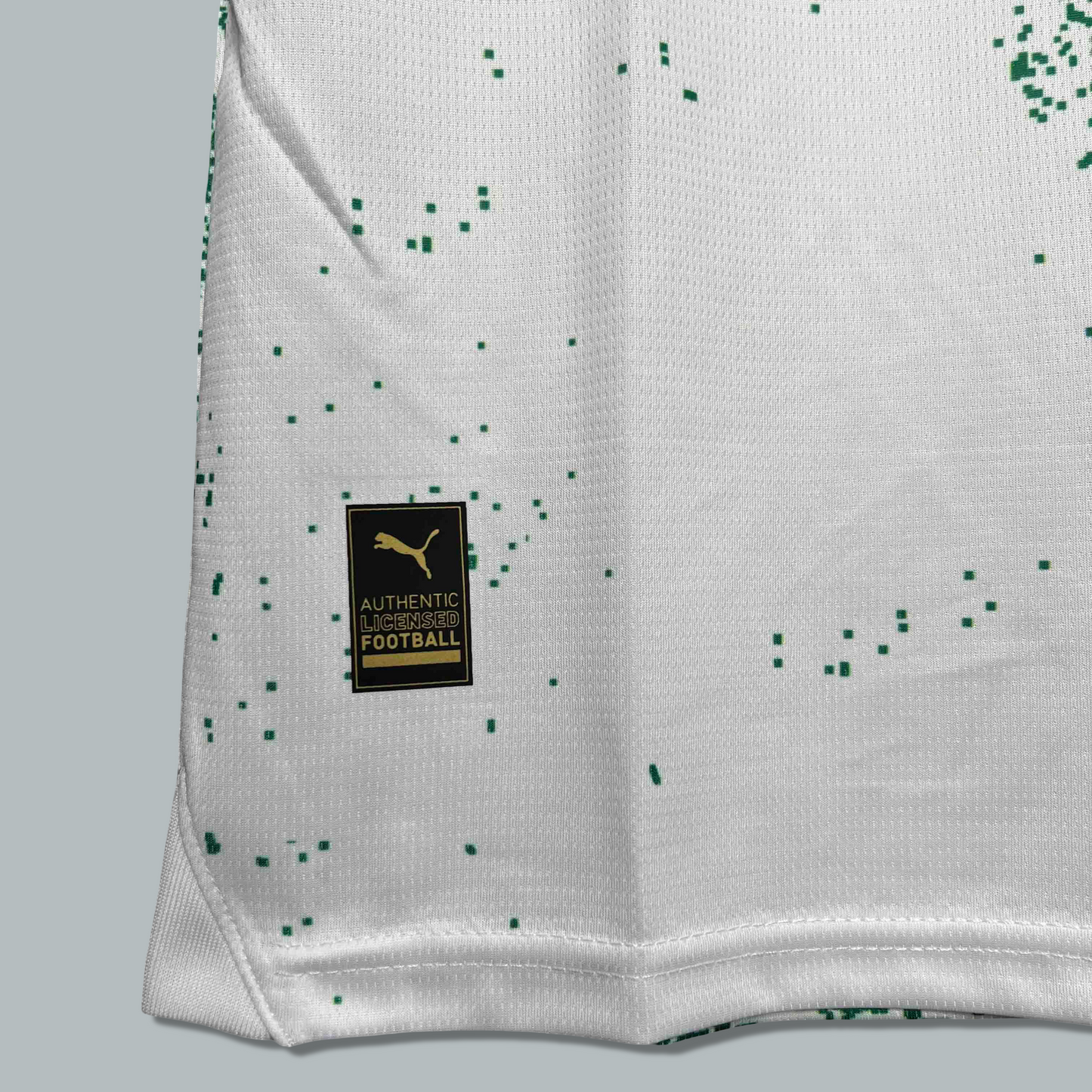 Palmeiras 25/26 "Green Storm" Premium Kit