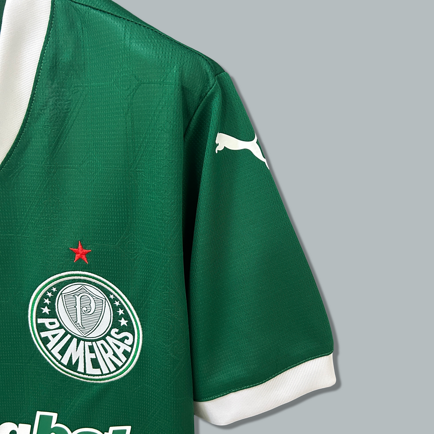 Palmeiras 25/26 Home Kit