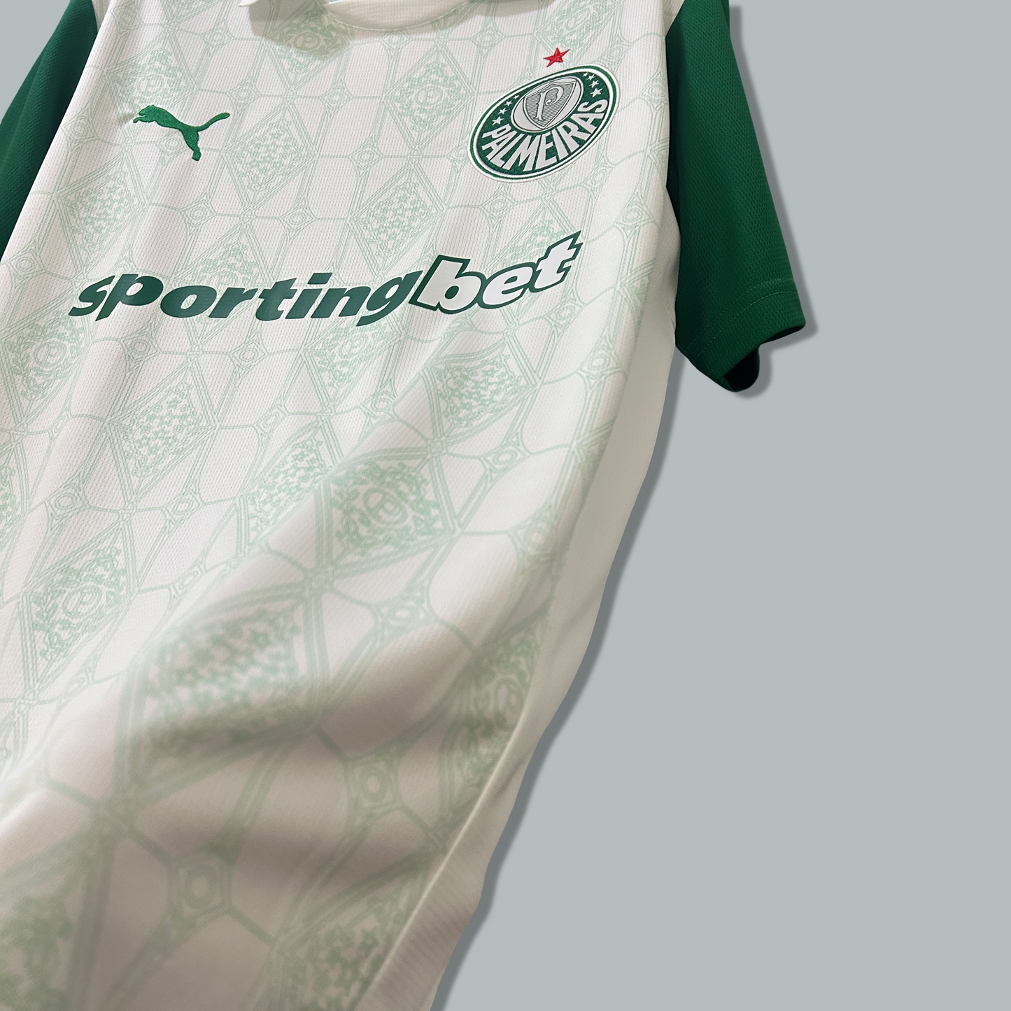 Palmeiras 25/26 Away Kit
