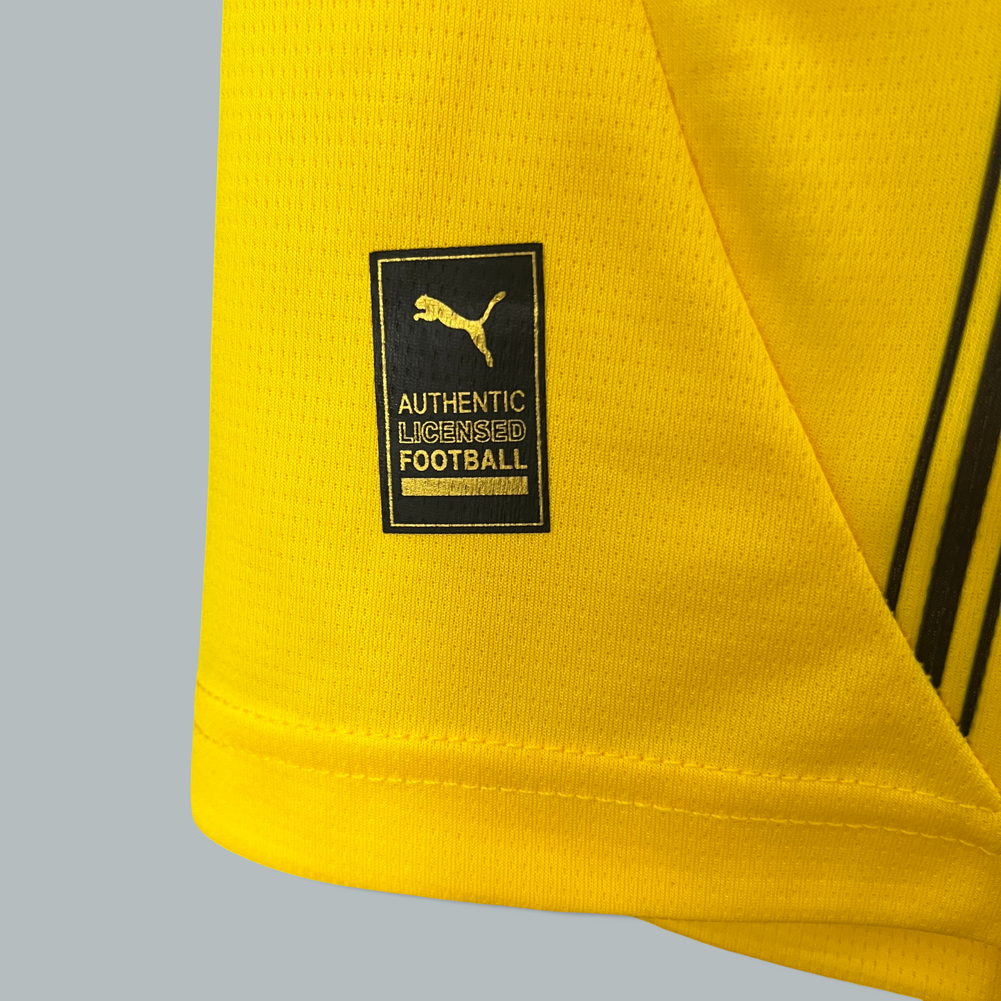 Borussia Dortmund 24/25 Home Kit