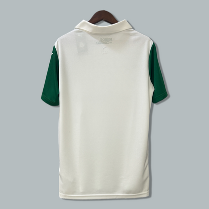 Palmeiras 25/26 Away Kit