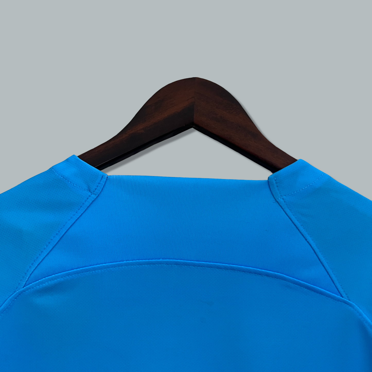 Netherlands 25/26 "Ice Lion" Premium Kit