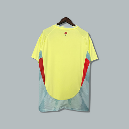Spain 24/25 Away Kit
