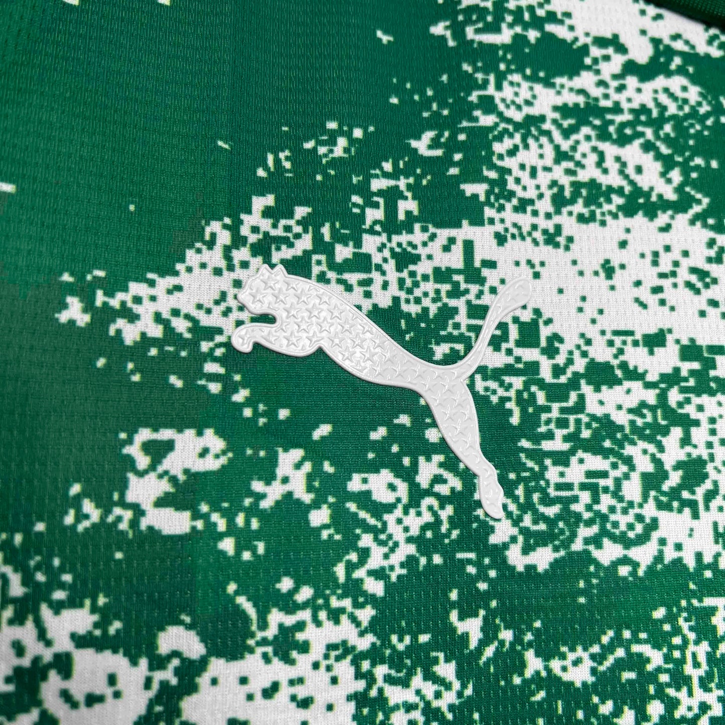 Palmeiras 25/26 "Green Storm" Premium Kit