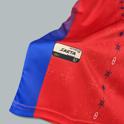 Haiti World Cup 2026 Third Kit