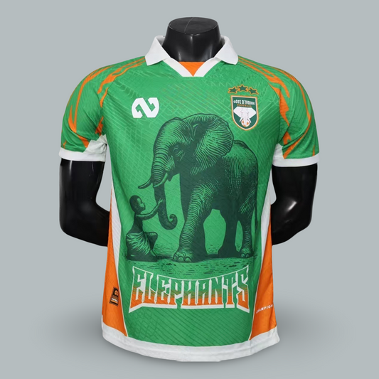 Ivory Coast 25/26 “Emerald Elephants" Player Version Premium Kit