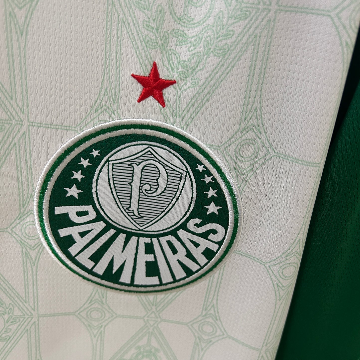 Palmeiras 25/26 Away Kit